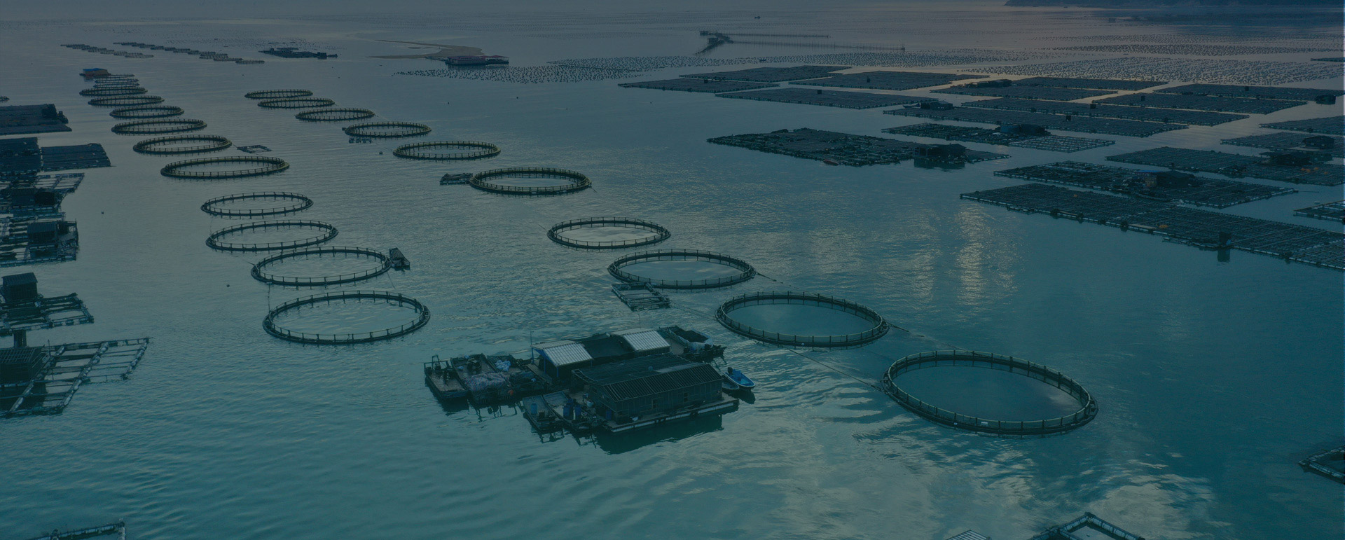 aquaculture