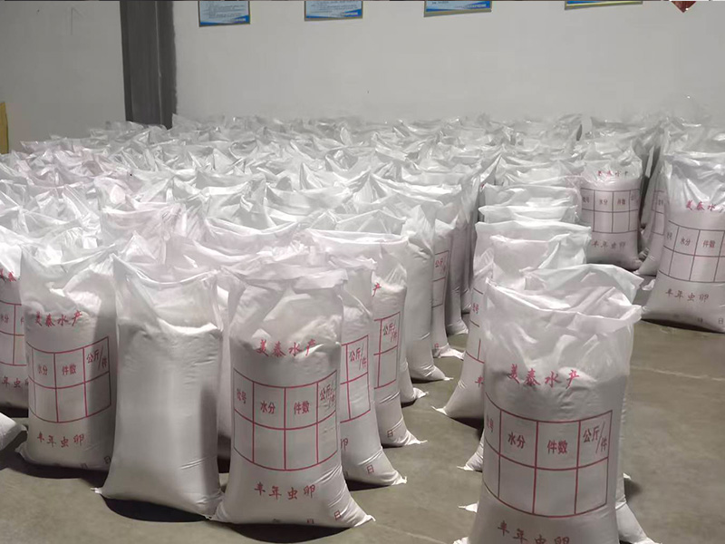 Breeding of abundant insect eggs